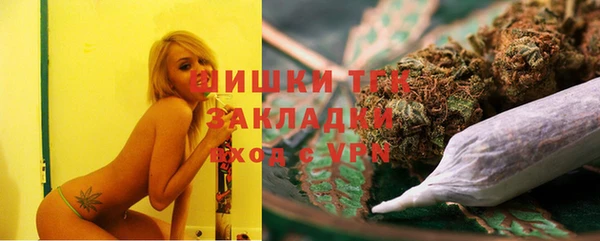 винт Ельня