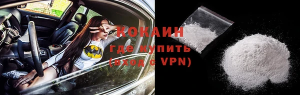 винт Ельня