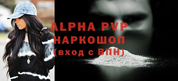 винт Ельня