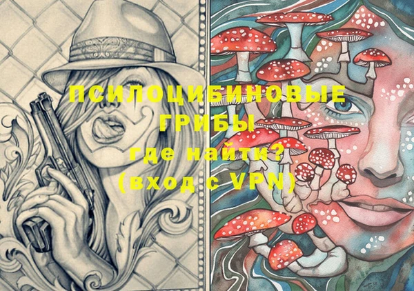 винт Ельня