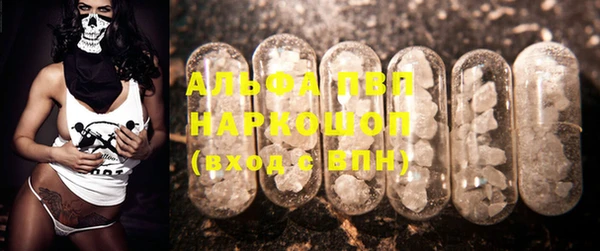 винт Ельня