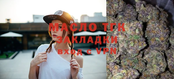 винт Ельня