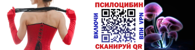 Купить где  Кореновск  Галлюциногенные грибы Magic Shrooms 